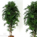 ACERO (54) VERDE tronco Mansanisi-piante artificiali per interni - Acero