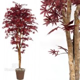 Acero Rosso Lux-Acero artificiale rosso, piante artificiali seminaturali