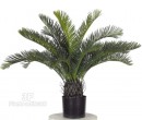 Palma - Cycas  h cm 70 UVR-Piante artificiali per esterni, palma artificiale, Cycas artificiale, Palma artificiale.
